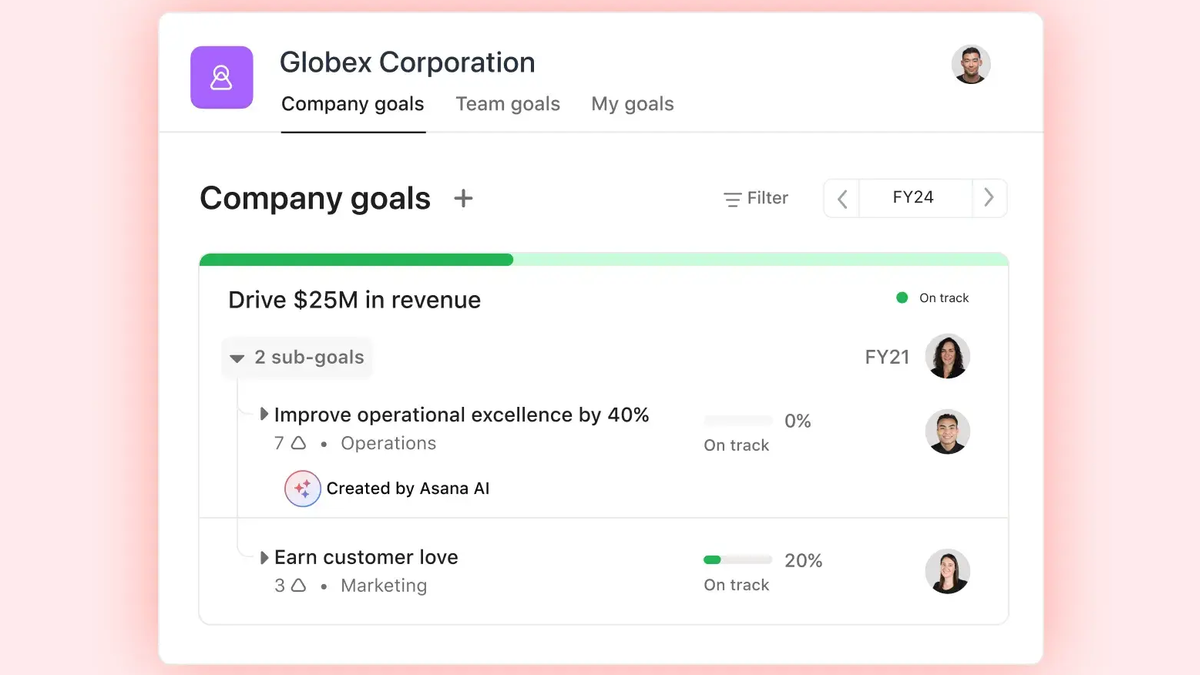 Asana company goals view showing nested goals, owners, progress, and status