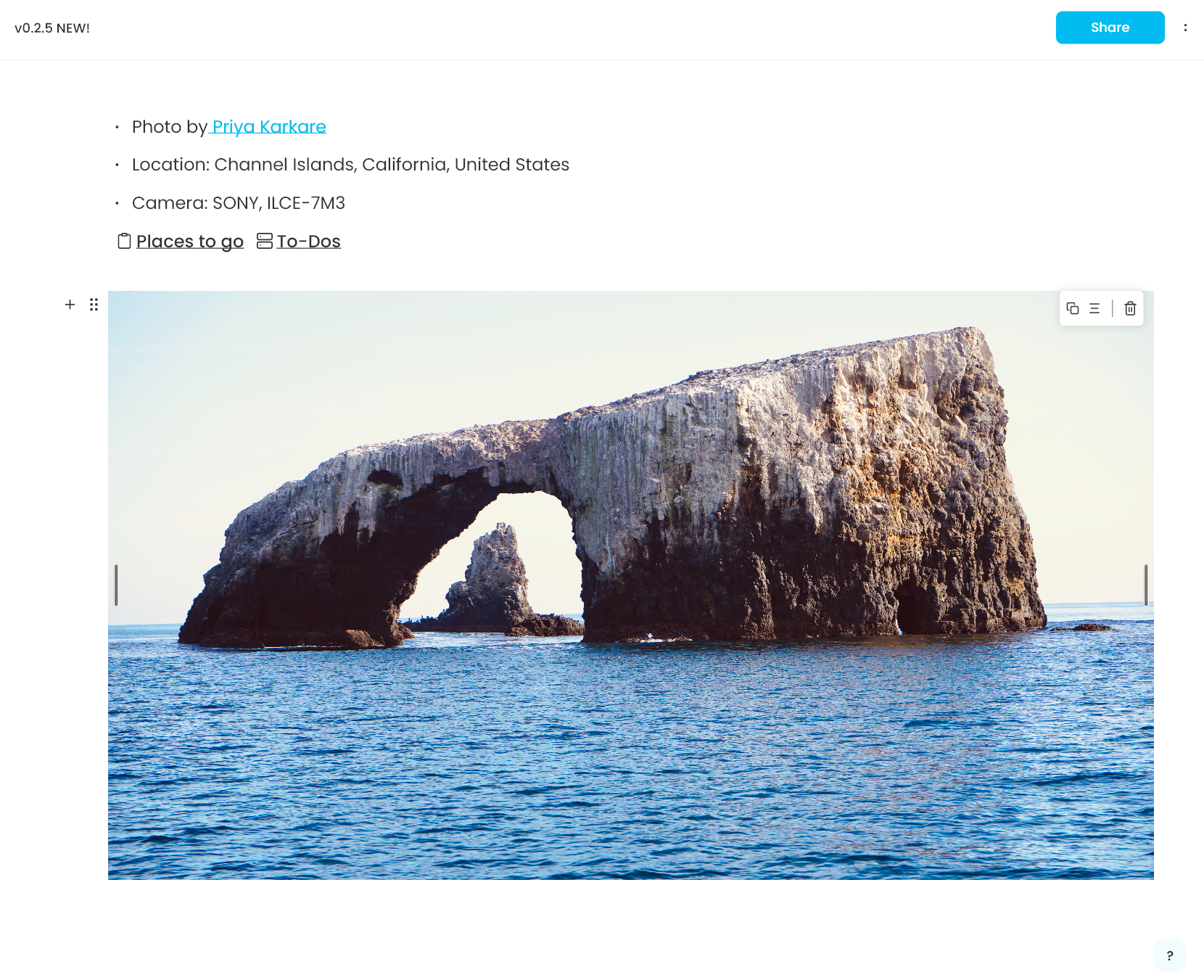 Local image in AppFlowy Editor